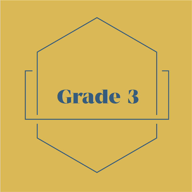 Grade 3 